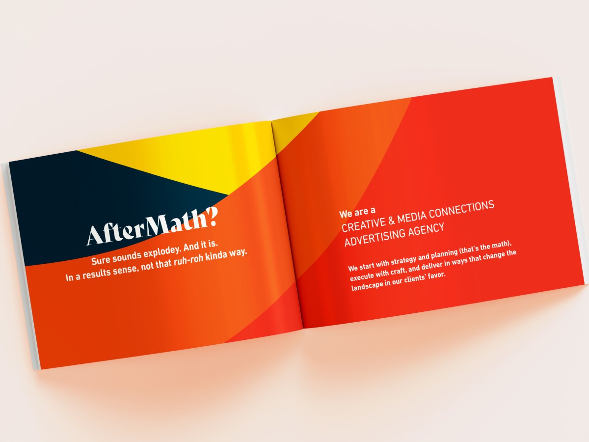 AfterMath Introductory Brochure